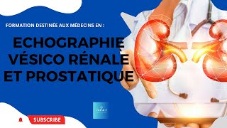 échographiée vésicorénale et prostatique  Formation Médicale Continue [upl. by Olaf]