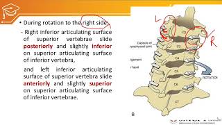 Biomechanics of cervical spine arthrokinematics [upl. by Lucrece952]