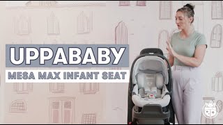 UPPAbaby MESA Max Infant Car Seat  Car Seat Review  Infant Car Seat Install [upl. by Jerrilee]