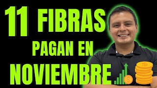 11 FIBRAS Pagarán En Noviembre 2024  FIBRAS que Pagan en Noviembre [upl. by Primavera]