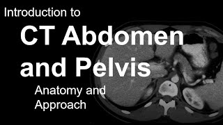 Introduction to CT Abdomen and Pelvis Anatomy and Approach [upl. by Andy690]