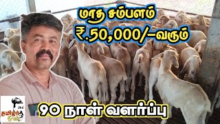 90 நாள் வளர்ப்பு ₹150000 வருமானம்  நீங்களும் எடுக்கலாம் [upl. by Ailemak]