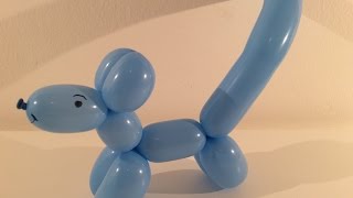 DIY hondje maken van 1 vouwballon [upl. by Ellenrahc527]