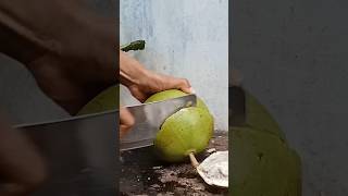 the open break calabash fruit calabash miraclefruit cuttingfruit cuttingskills fruit mango [upl. by Hsak839]