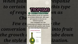 tropisms  tropic movement  neet2023 cbse [upl. by Hizar165]