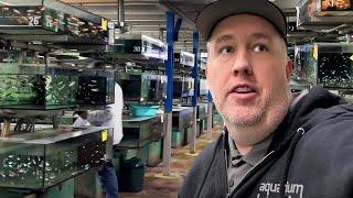 Thousands of Rare Aquarium Fish at MASSIVE Wholesaler  Aquarium Glaser Tour [upl. by Dianthe]