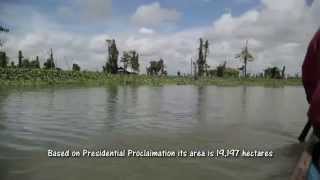 DANAO Agusan Marsh Awareness Project [upl. by Eiruam]