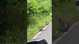 Koh Lanta On the Main Road Thailand [upl. by Billen954]