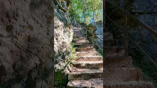 Natural Beauty of Elora Gorge Conservation Area  Things to do in Ontario Canada shorts ytshorts [upl. by Savanna]