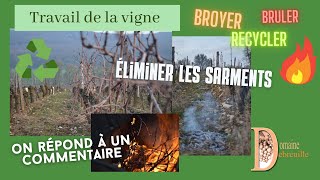 Comment éliminer les sarments  Les bruler broyer ou recycler  On brûle donc on pollue [upl. by Hamlin]