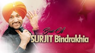 BEST OF SURJIT BINDRAKHIA  PUNJABI SONGS JUKEBOX  TSERIES APNA PUNJAB [upl. by Leirbag]