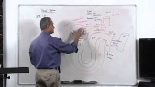 Renal System GFR Glomerular Filtration Rate 214 [upl. by Alanna331]