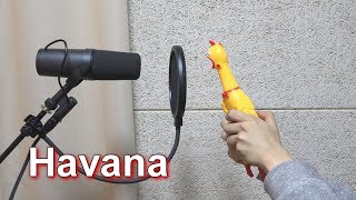 Camila Cabello  Havana Chicken Cover [upl. by Godwin]