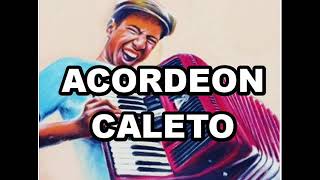 ACORDEON CALETO GUARACHA [upl. by Neih206]