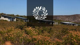 Grootbos Destination  Discover Diversity [upl. by Rovelli]