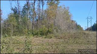 Harvesting Aspen in northern MN getting a helping hand while wanting on parts [upl. by Kenn804]