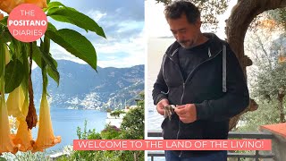 THE END OF AN ERA amp A NEW BEGINNING  The Positano Diaries EP 152 [upl. by Ahsiatal497]