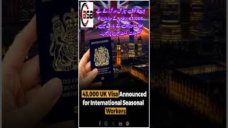 یو۔کے نے ویزوں کی بارش کر دی uk ukvisa ukvisaupdates ukvisaaccepted [upl. by Eelanna]