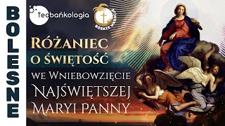 Różaniec Teobańkologia o świętość we Wniebowzięcie Najświętszej Maryi Panny 1508 Wtorek [upl. by Ahsauqram]