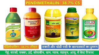 Pendimethalin 387 CS use in Hindi  Broad Spectrum Herbicide [upl. by Nestor]