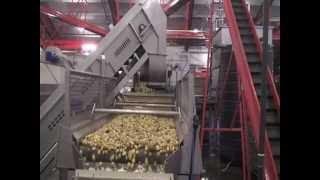 Washing amp Destoning by Tummers Food Processing Solutions [upl. by Rupert]