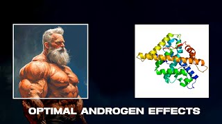 High freebased testosterone doesnt matter Androgen receptor sensitivity does [upl. by Ludlew970]