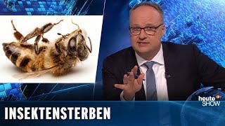 Artenschutz 18 Millionen Bayern wollen die Bienen retten  heuteshow vom 22022019 [upl. by Rich]