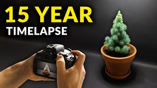 I Filmed Plants For 15 years  Timelapse Compilation [upl. by Nessej762]