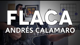 Flaca Andrés Calamaro Tutorial Cover  Guitarra Mauro Martinez [upl. by Llerehs]