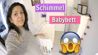 OMG Schimmel im BABYBETT  Mama Alltag  Vlog864 Rosislife [upl. by Ecinnahs637]