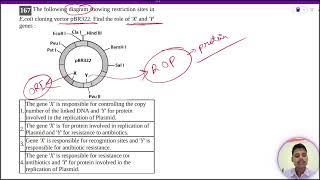 The following diagram showing restriction sites inEcoli cloning vector pBR322 Find the role [upl. by Leong]