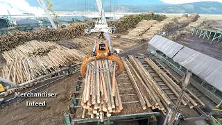 Logs to Lumber  An aerial journey through the sawmill [upl. by Jeconiah]