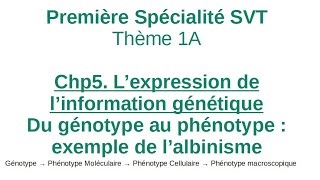 Albinisme  1ere Spécialité SVT  Du génotype au phénotype exemple de lalbinisme [upl. by Merlin]