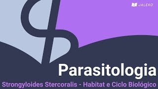 Parasitologia Strongyloides Stercoralis  Habitat e Ciclo Biológico [upl. by Dobson60]