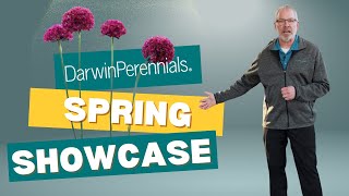 Darwin Darwin Perennials Spring Showcase 4k [upl. by Vander]