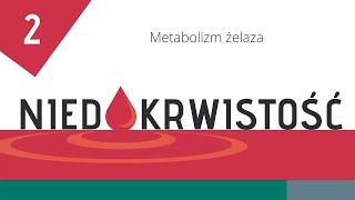 Niedokrwistość cz 2 Metabolizm żelaza [upl. by Alyekahs]