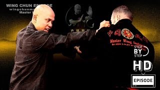 Wing Chun wing chun kung fu Basic Hand Work Episode 2 [upl. by Simonetta]