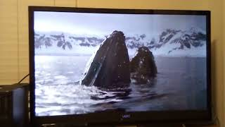 The Planet Earth Collection  Part 1  Top 5  BBC Earth [upl. by Hafeetal425]