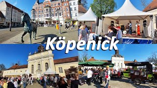 Berlin  Altstadt Köpenick und Winzerfest 2023 in der Altstadt Köpenick  Schloss Köpenick [upl. by Robena]