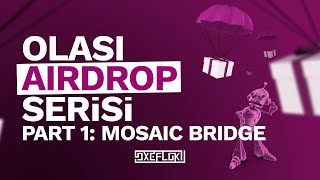 Olası Airdrop Serisi Part 1 Mosaic Bridge 30 cent harcadık [upl. by Walter674]