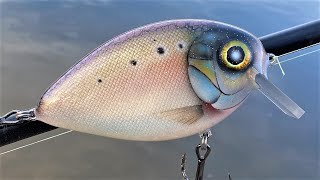 Making a Bunker Fish CrankBait Menhaden [upl. by Menides]