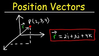 Position Vectors and Displacement Vectors  Physics [upl. by Euqirrne944]