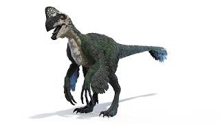 Oviraptor Dinosaur [upl. by Reggi]