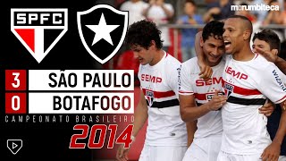 São Paulo 3x0 Botafogo  2014  PATO LUÍS FABIANO E GANSO COMANDAM O SHOW NA ESTREIA DO BRASILEIRÃO [upl. by Nunes]