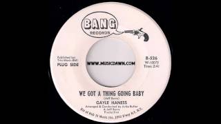 Gayle Haness  We Got A Thing Going Baby Bang Records 1966 Northern Soul Teen 45 [upl. by Aihceyt436]