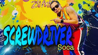 SCREWDRIVER  Mr Fix It  Mr Killa  Soca 2020  ZUMBA  Choreography by ZIN JOEL [upl. by Acsisnarf200]