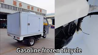 Refrigerated tricycles exported from China support customized services [upl. by Harrow]