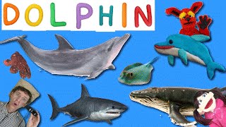 Learning 7 Real Sea Creatures  First Words Song 14 DOLPHIN  Matt Vs Crab Learn English Kids [upl. by Annaira961]