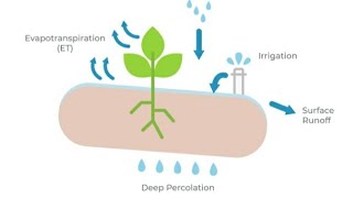 EVAPOTRANSPIRATION  Causes  Advantages  Disadvantages  issue SDG ClimateChange GlobalWarming [upl. by Merrie]