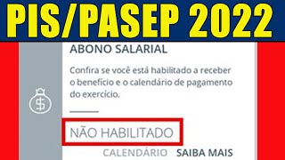 PISPASEP 2022 NÃO HABILITADO O QUE FAZER PARA RECEBER O ABONO SALARIAL 2022 COMO CONSULTAR O PIS [upl. by Arela522]